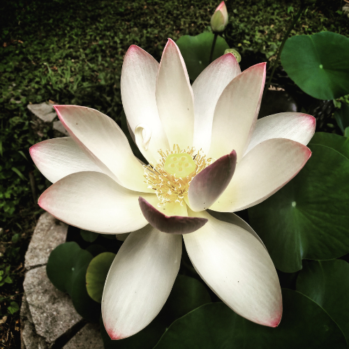 When Plans Change, But the Day Still Shines